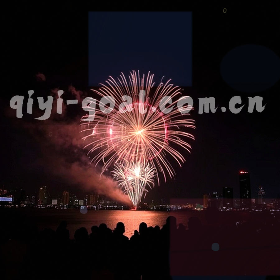 两套训练背心与战术板斜向并置，背景为果籽黑